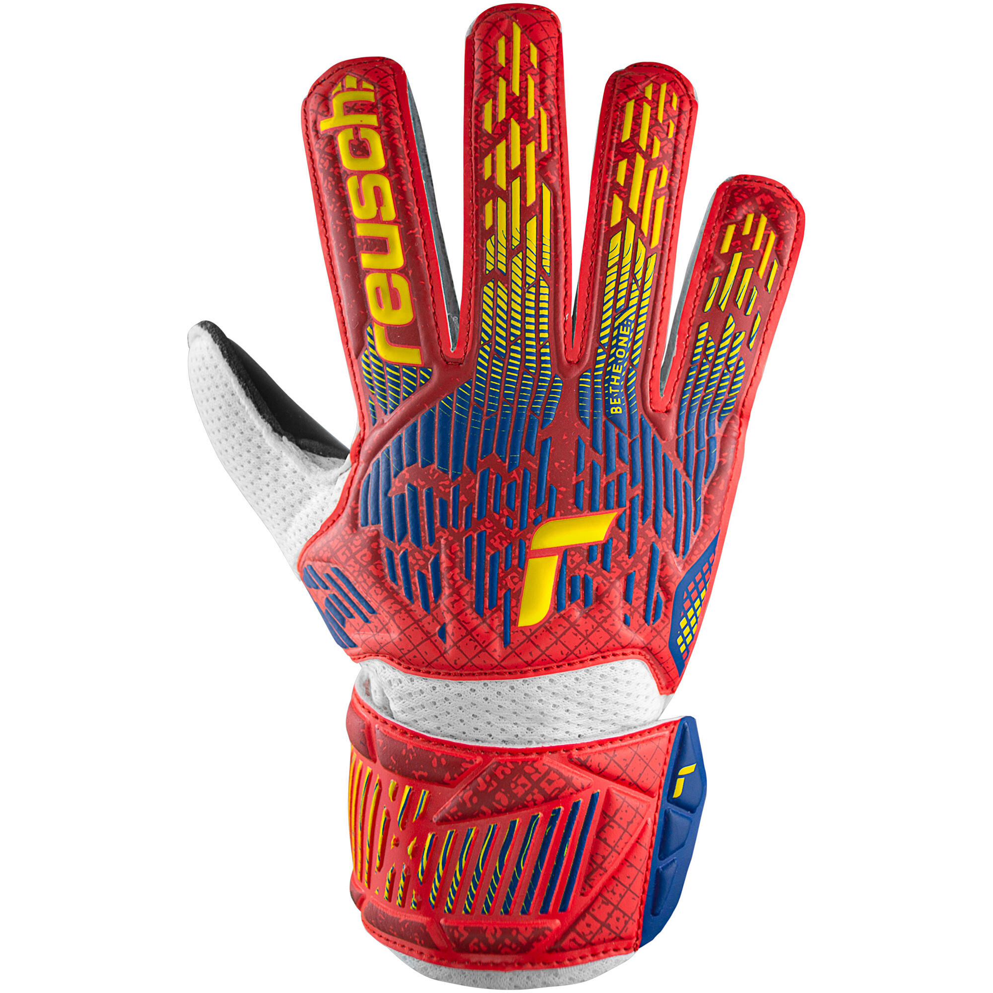 REUSCH picture
