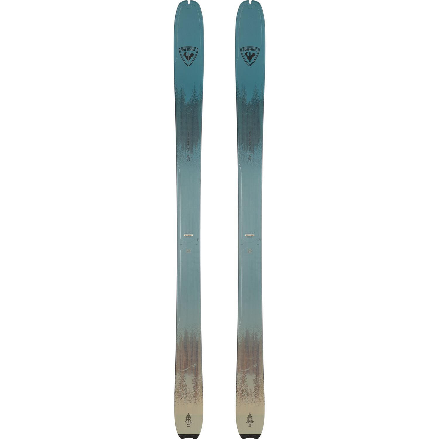 ROSSIGNOL picture