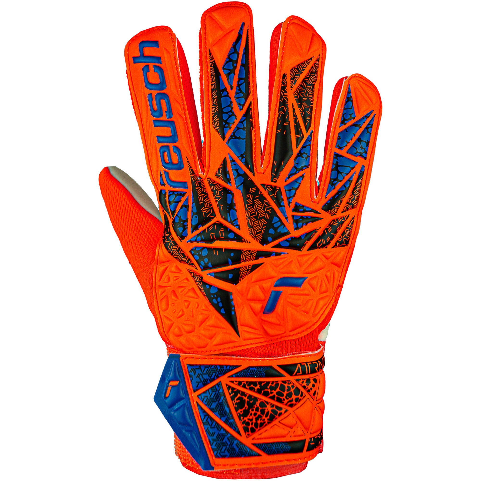 REUSCH picture