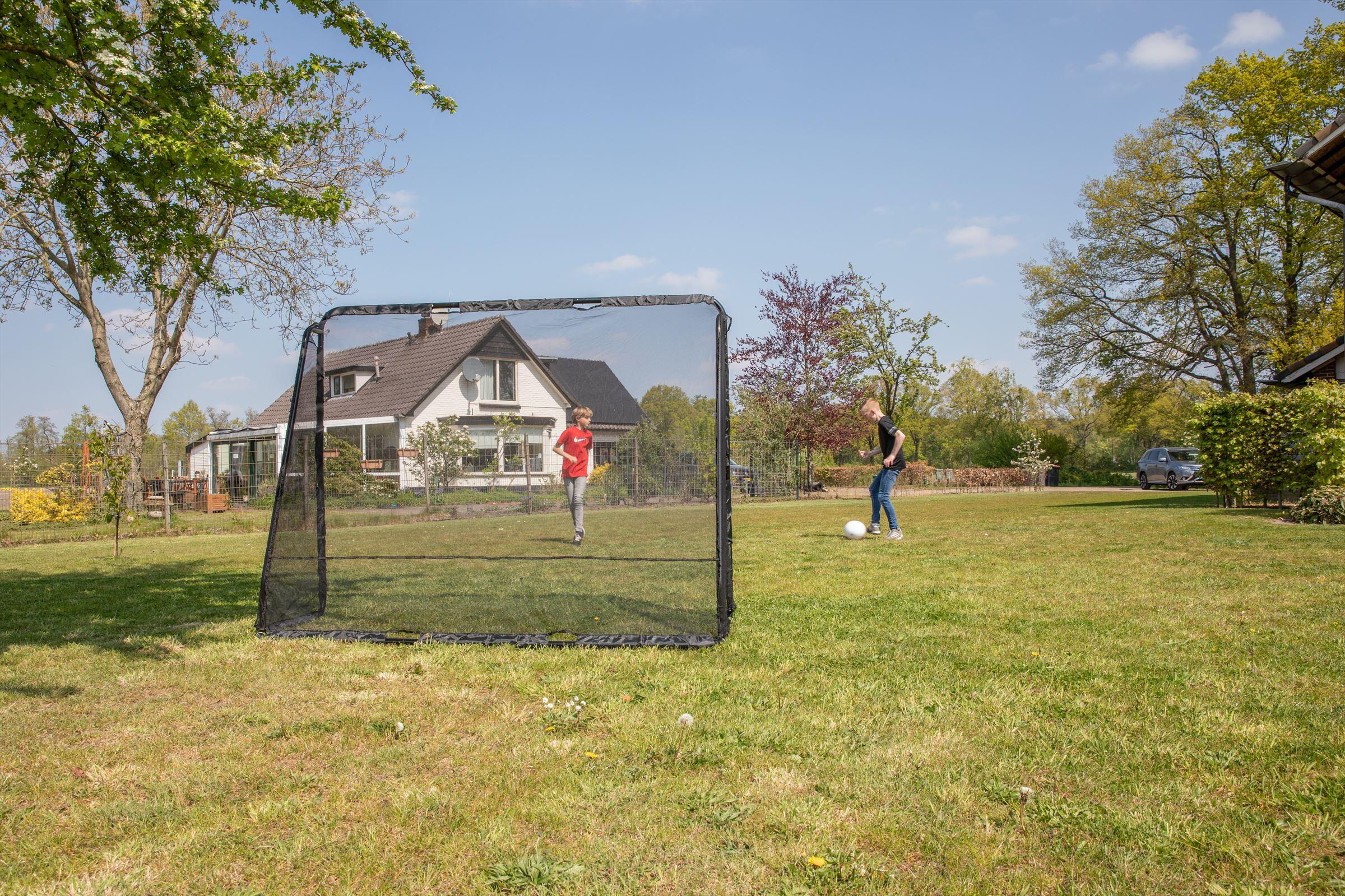 Voetbaldoel Pro met Doelwand - Voetbal Goal - 220 x 170 cm 7/8