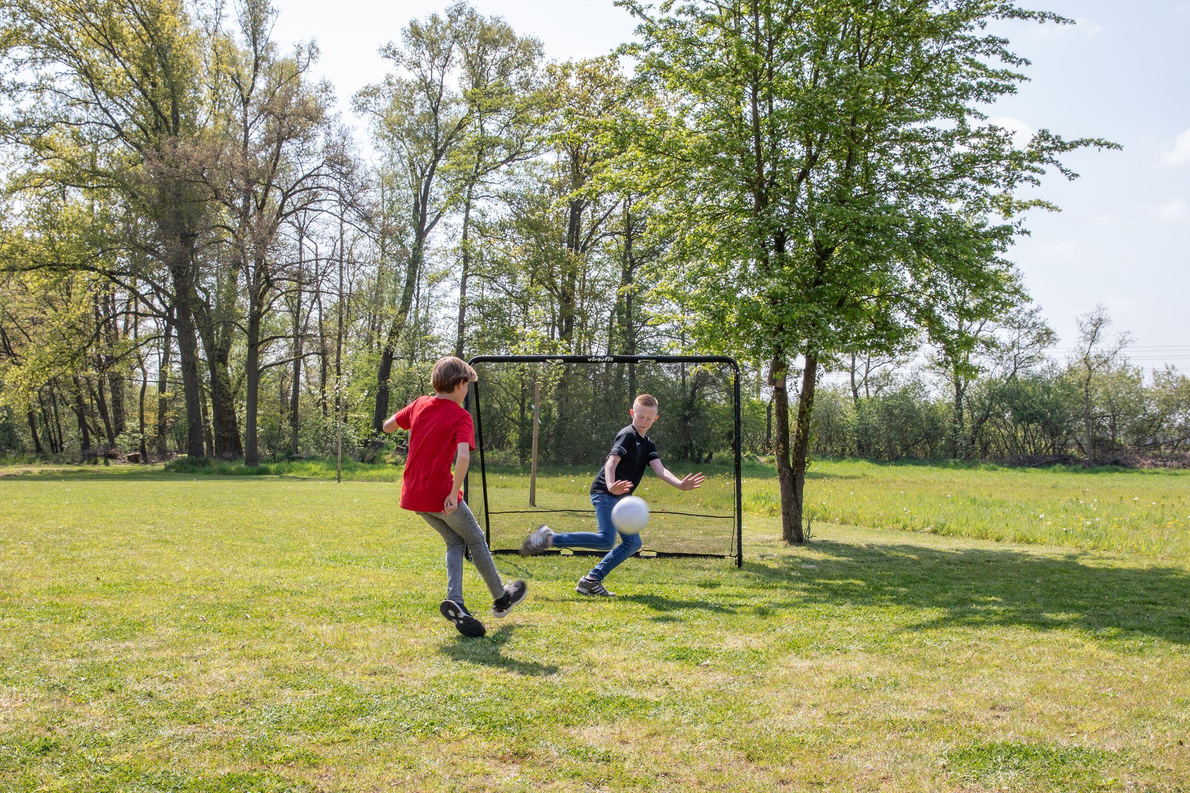Voetbaldoel Pro met Doelwand - Voetbal Goal - 220 x 170 cm 5/8