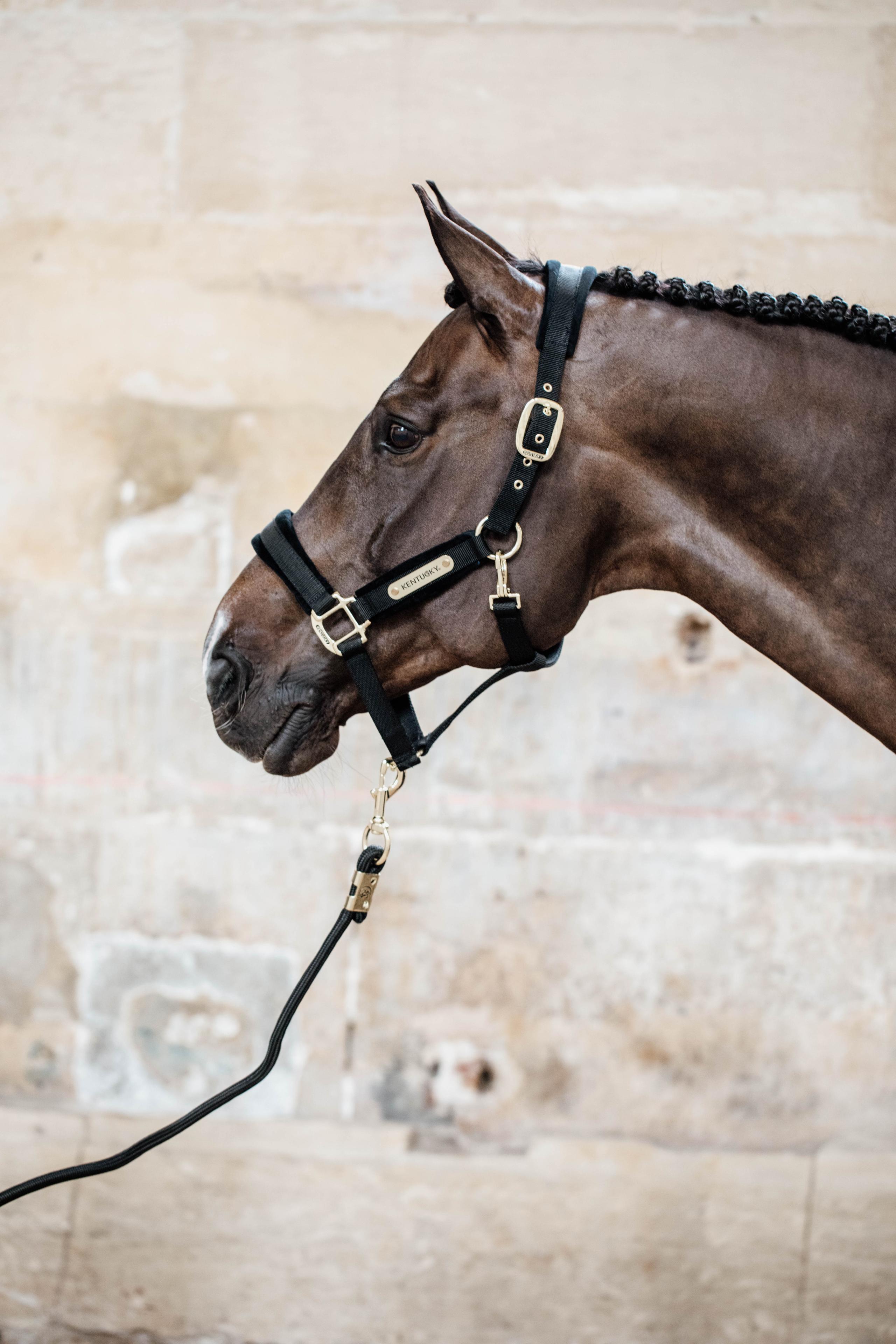 Paardenlijn rope zwart 2m 3/7