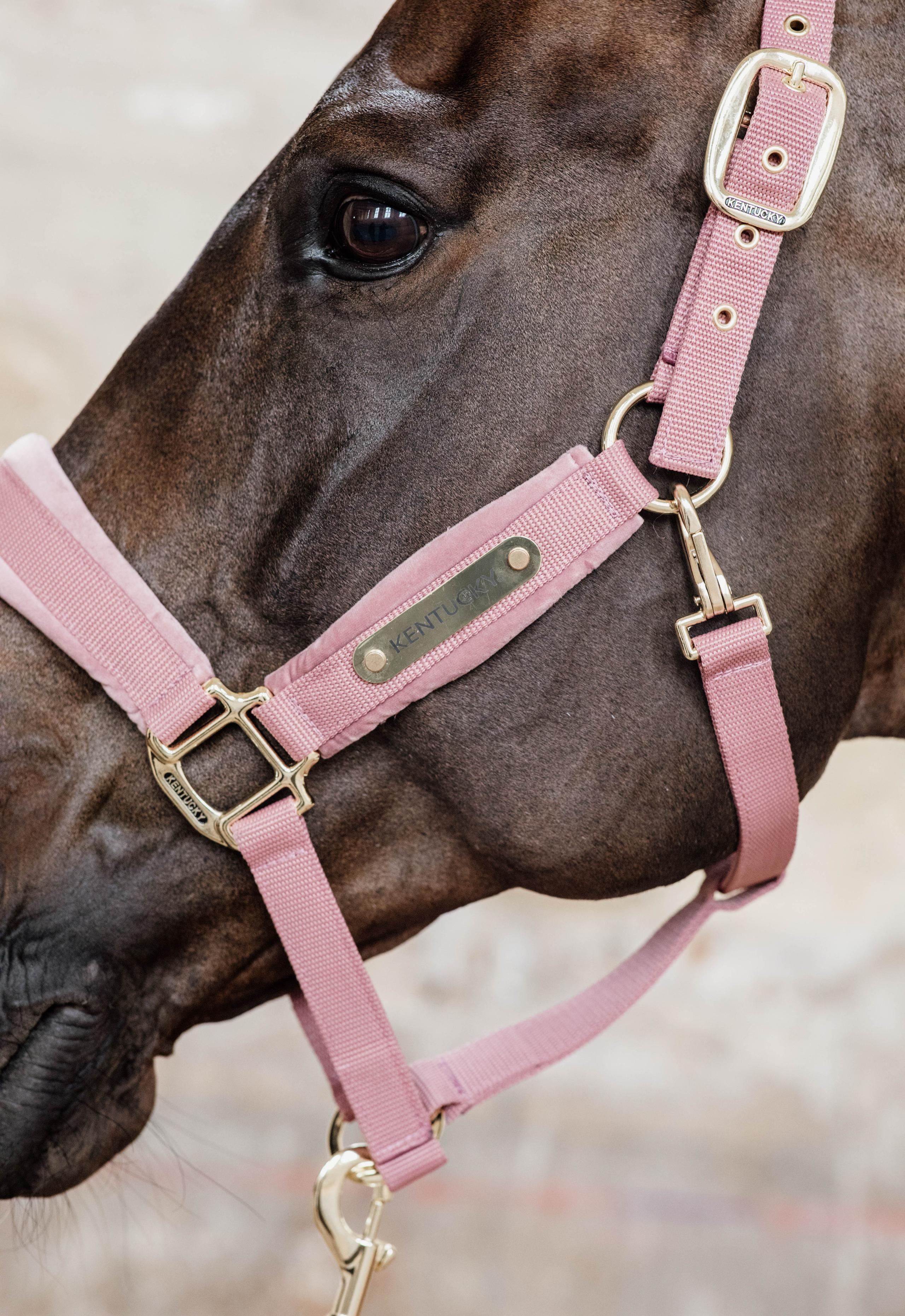 Halster - Velvet - Oud Roze - Full 5/5