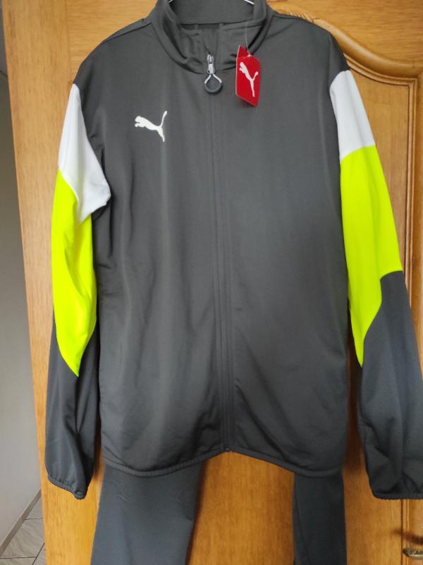 PUMA picture