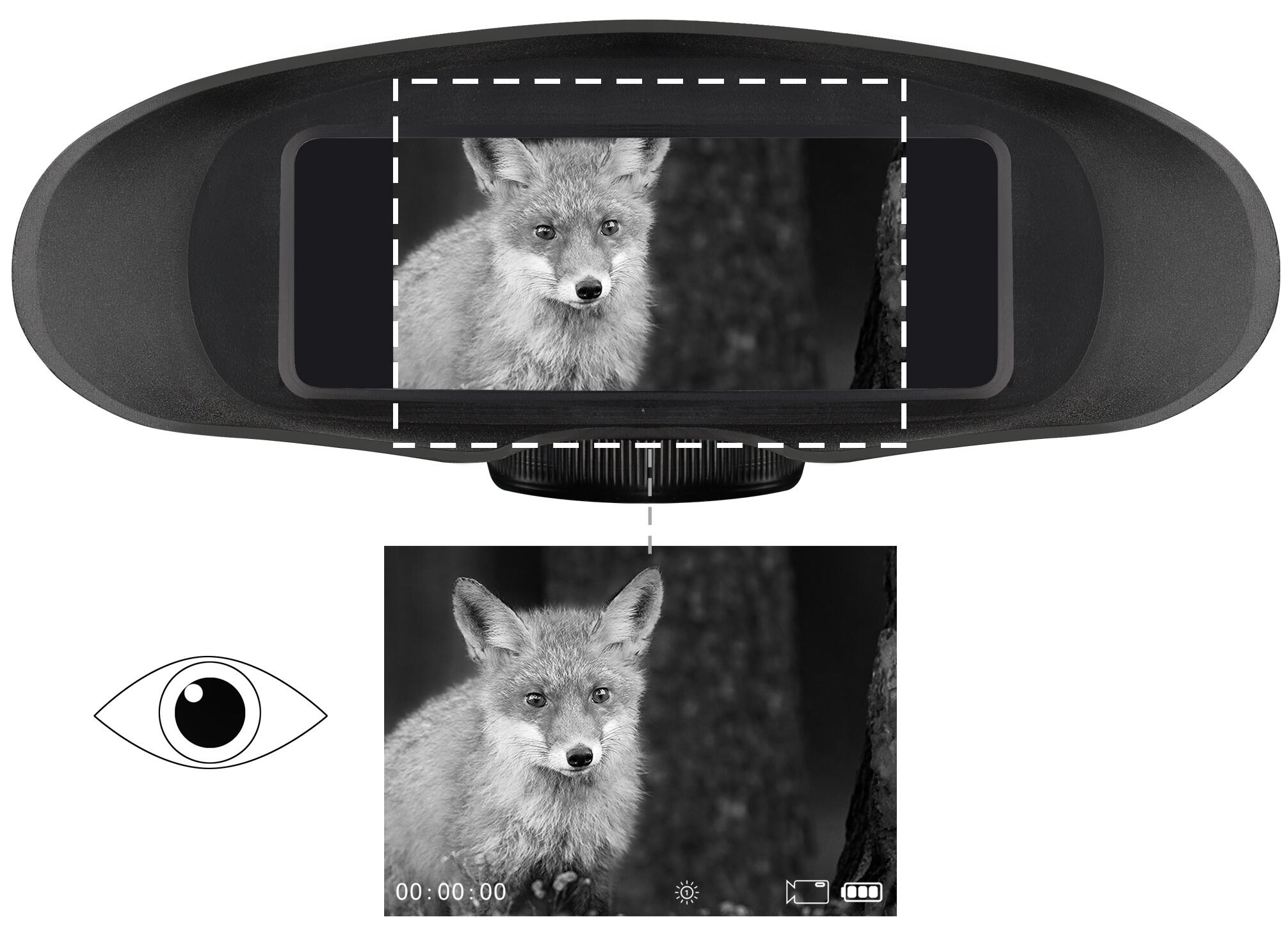 Binocular de Visión Nocturna Digital 3,5x m Captura Monocromática 4/7