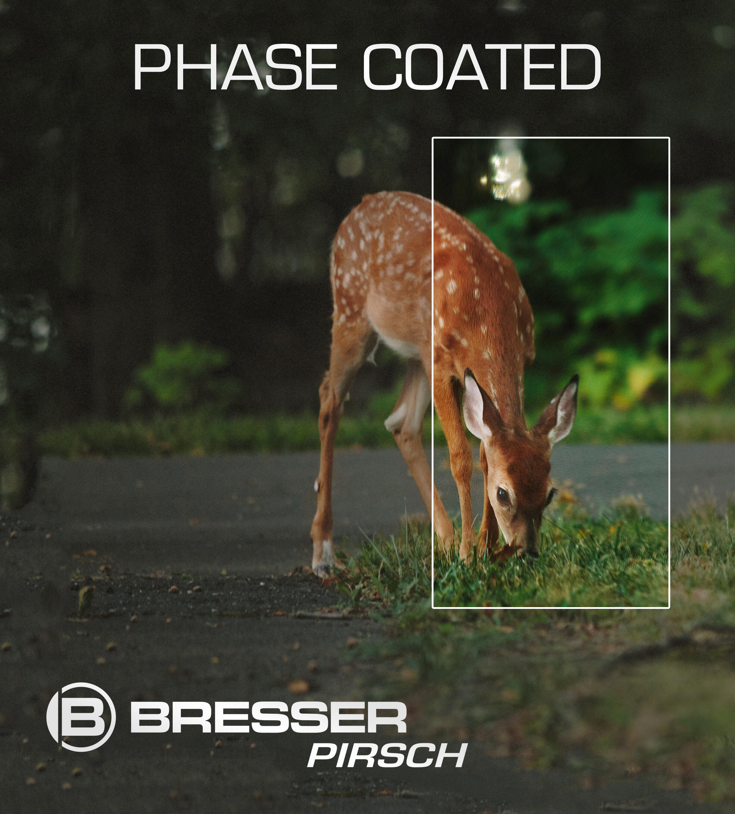 BRESSER Pirsch jumelles 8x26 Phase Coating 3/5