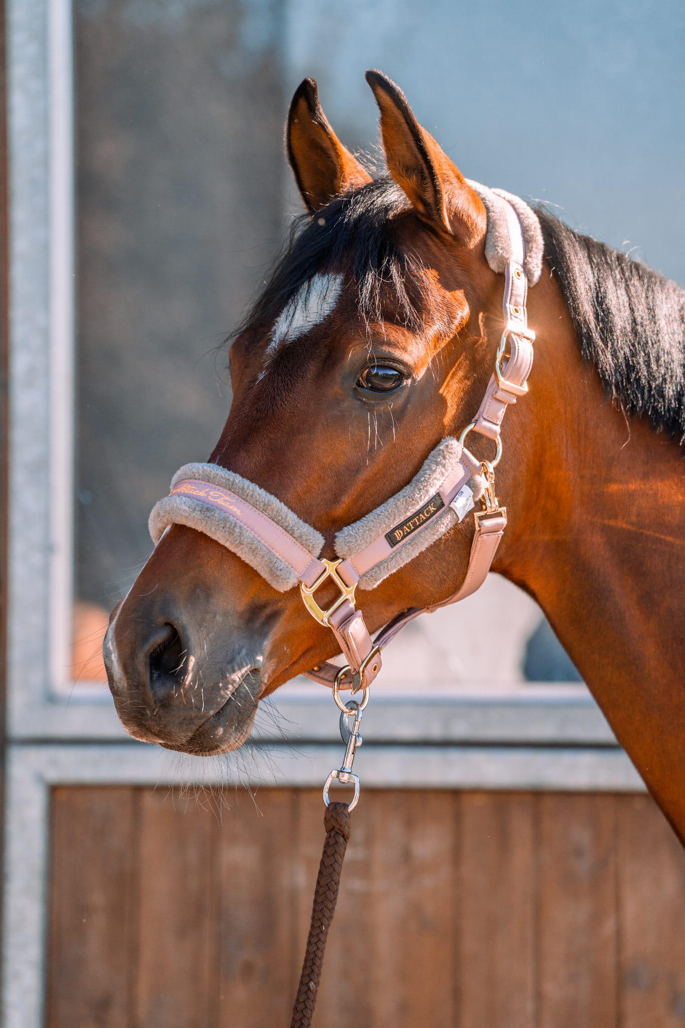 Licol pour cheval en fourrure JD Attack Miracle 2/2