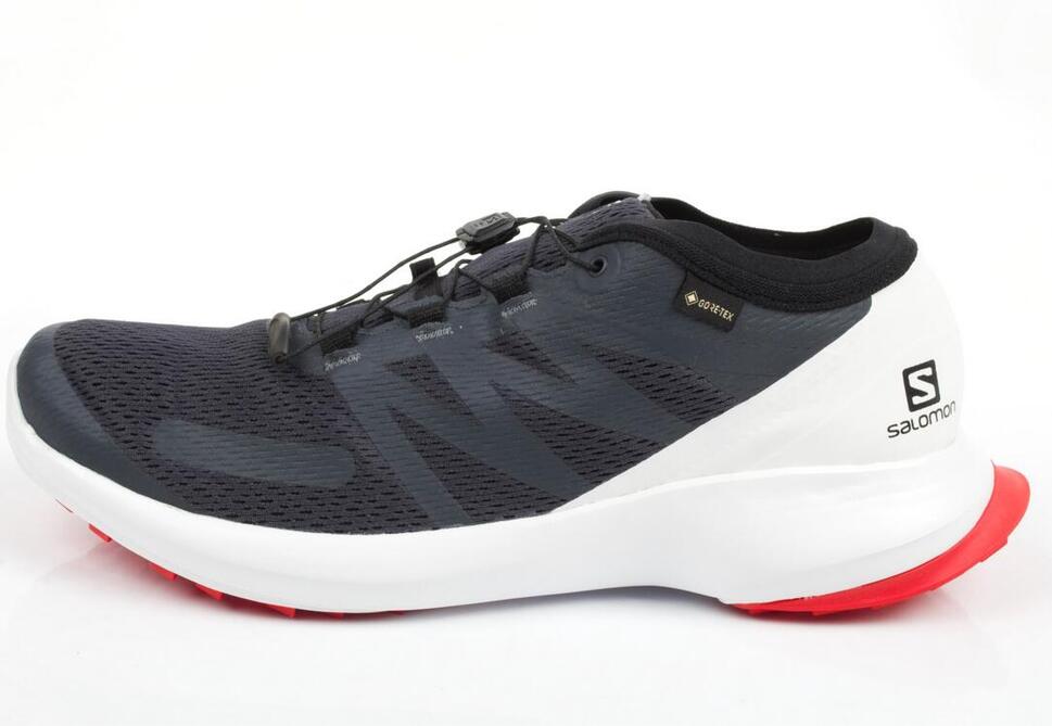 Buty męskie sportowe Salomon Sense Flow 409672 GTX