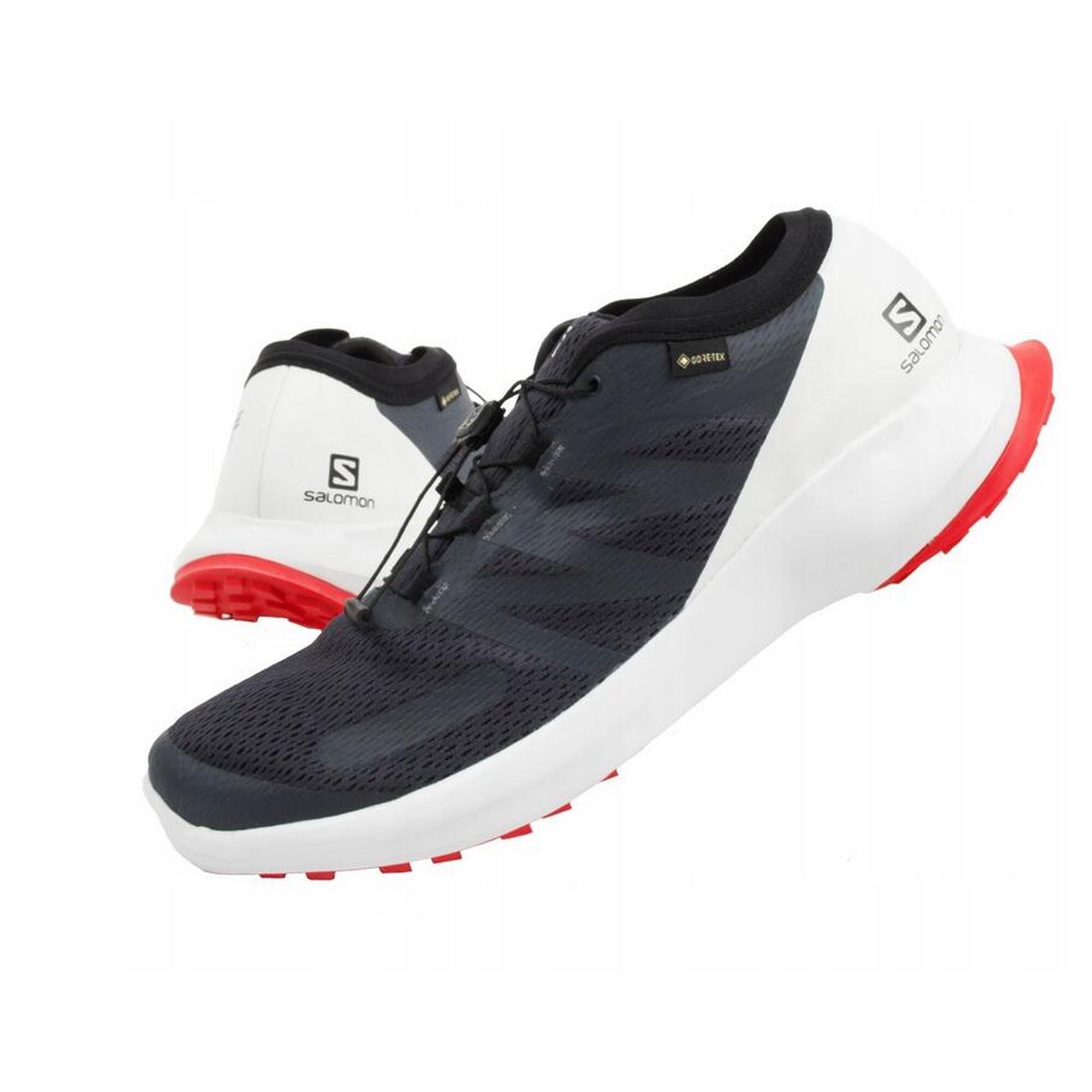 Buty męskie sportowe Salomon Sense Flow 409672 GTX
