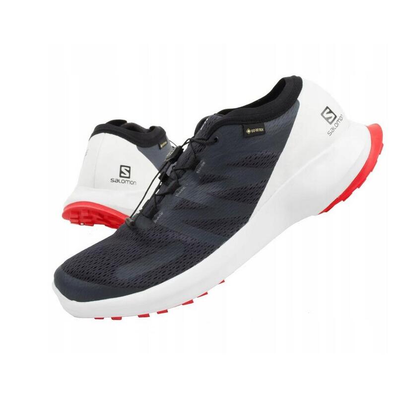 Buty męskie sportowe Salomon Sense Flow 409672 GTX
