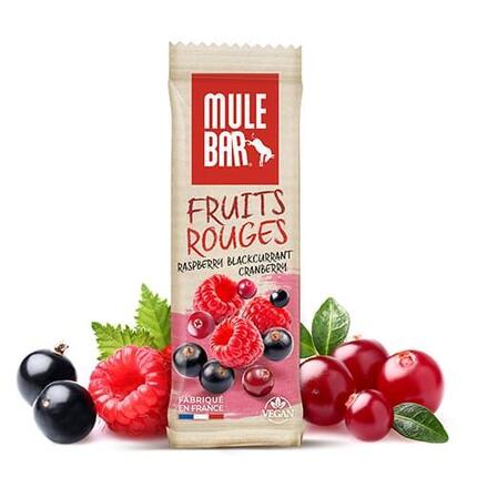 Barre énergétique aux céréales - bio - vegan - 40g - Pomme - Cannelle - Raisin