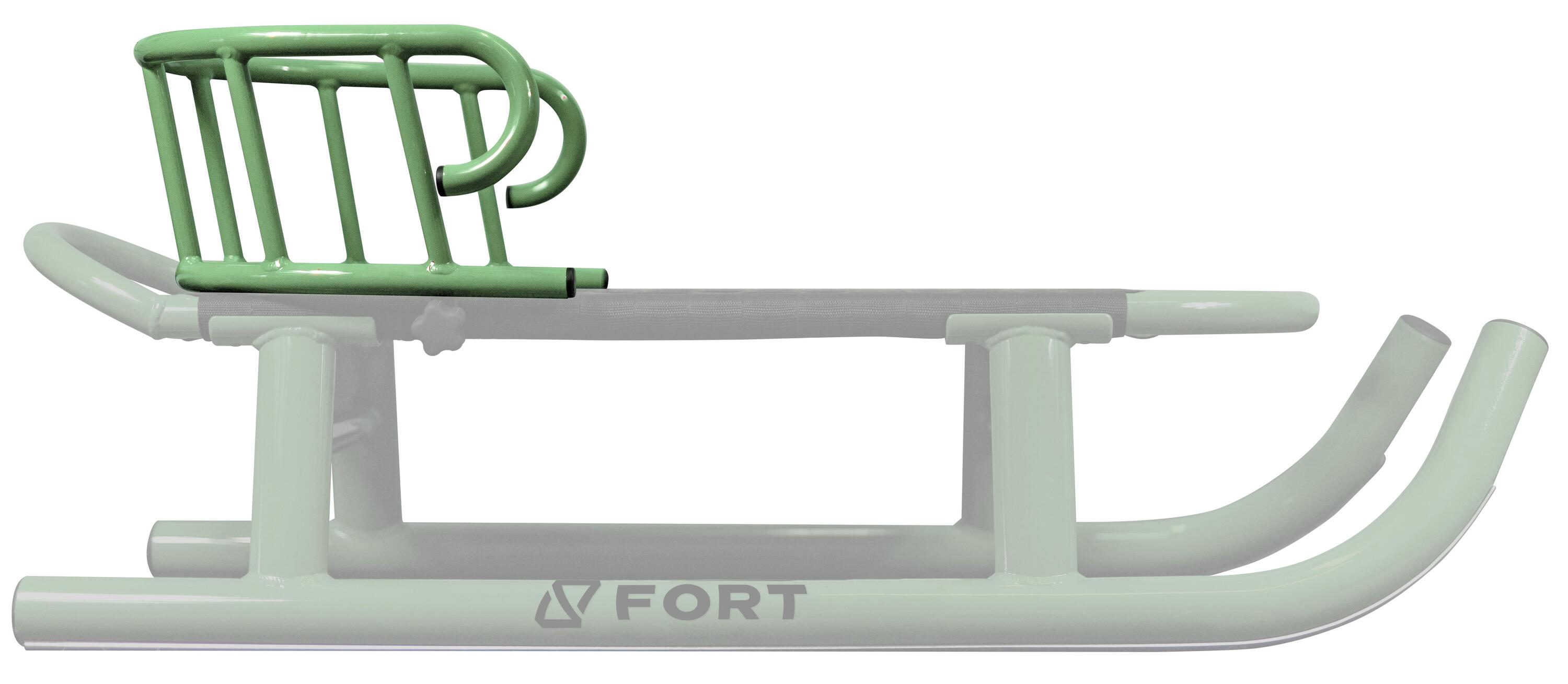 FORT picture