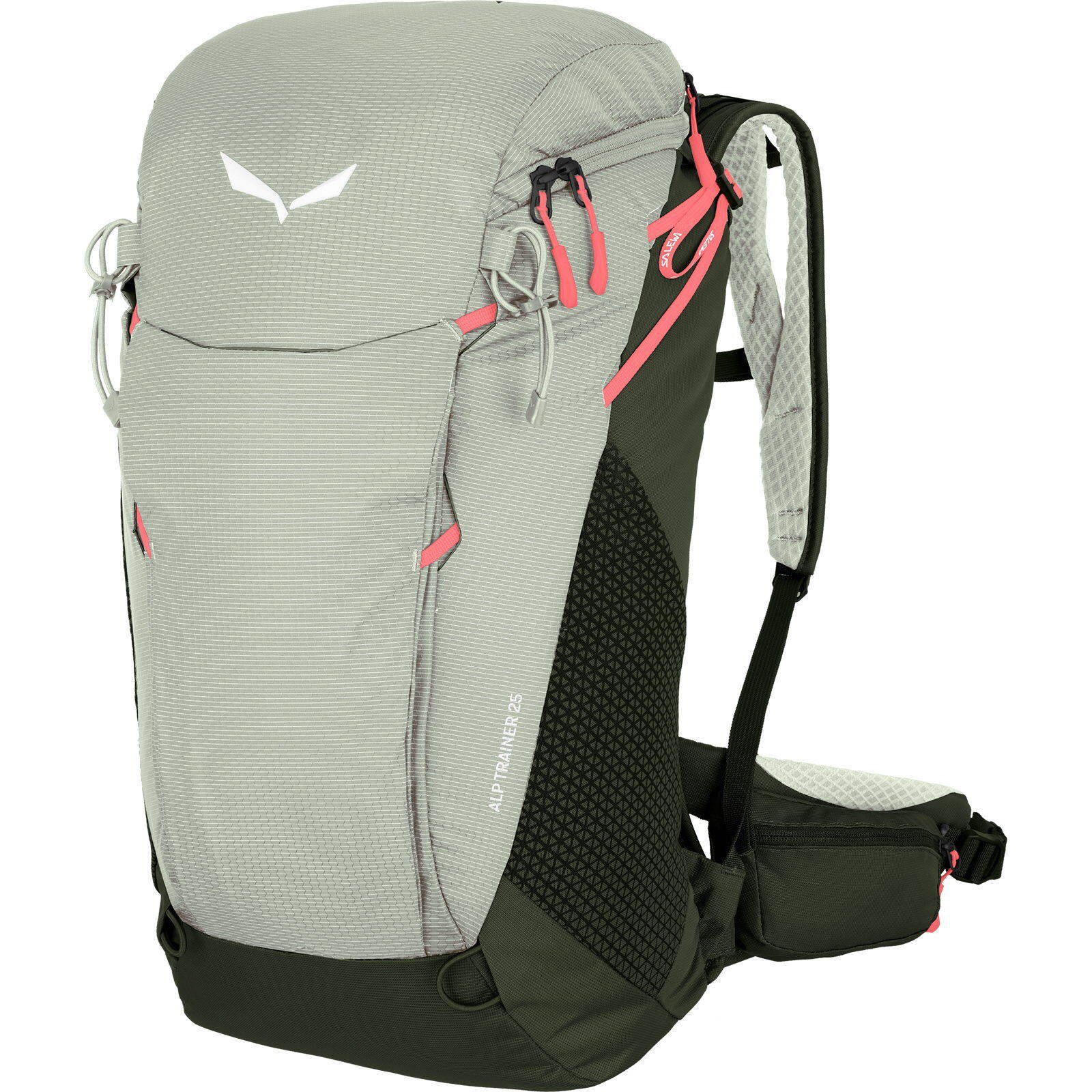 Wanderrucksack Alp Trainer 25 shadow-dark olive 1/3