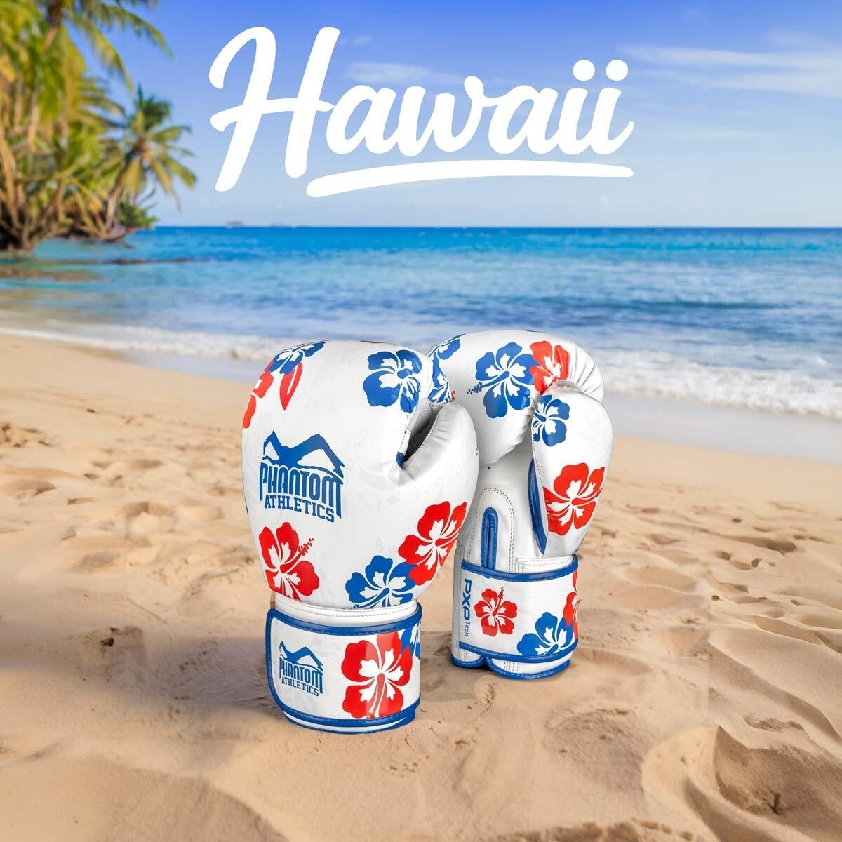 Boxing gloves Hawaii 4/4