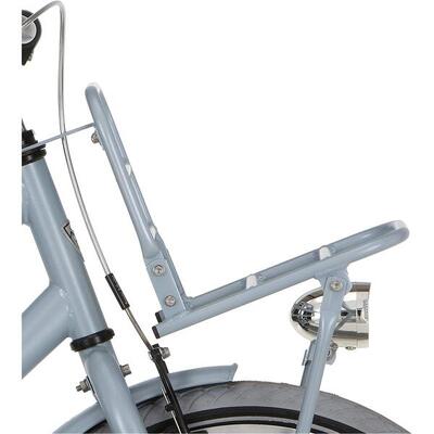 Alpina 20 inch cargo voordrager in matt blauw