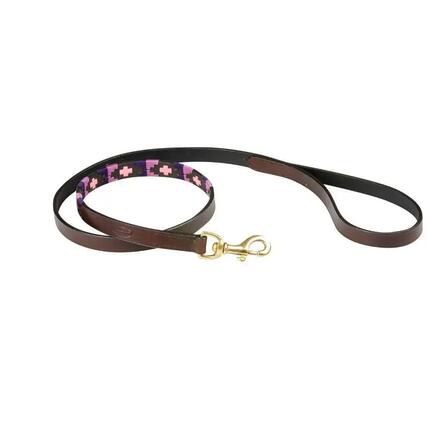 Laisse pour chien Weatherbeeta Polo