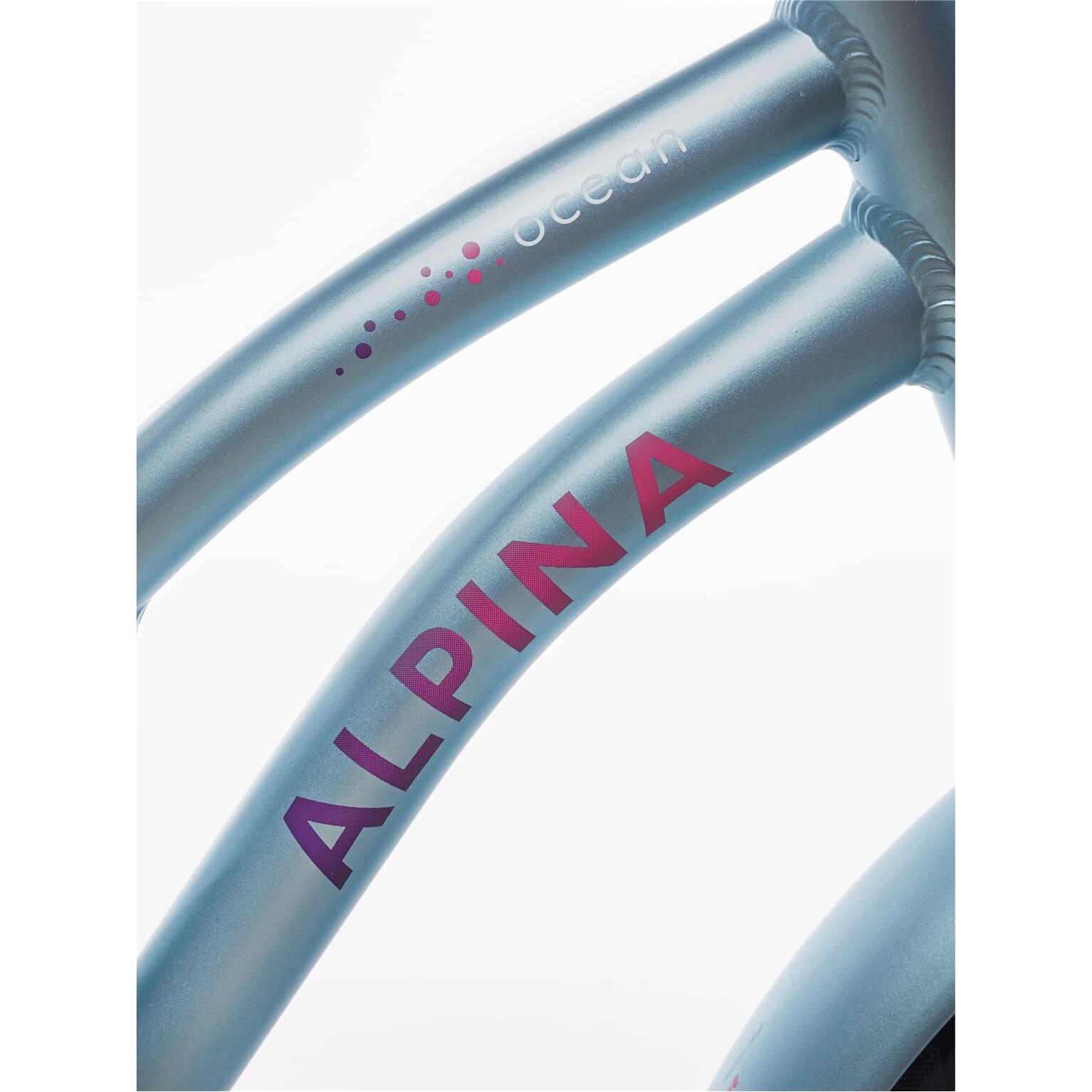 Alpina Ocean M20 20" Meisjesfiets Dusk Blue Matt 5/6