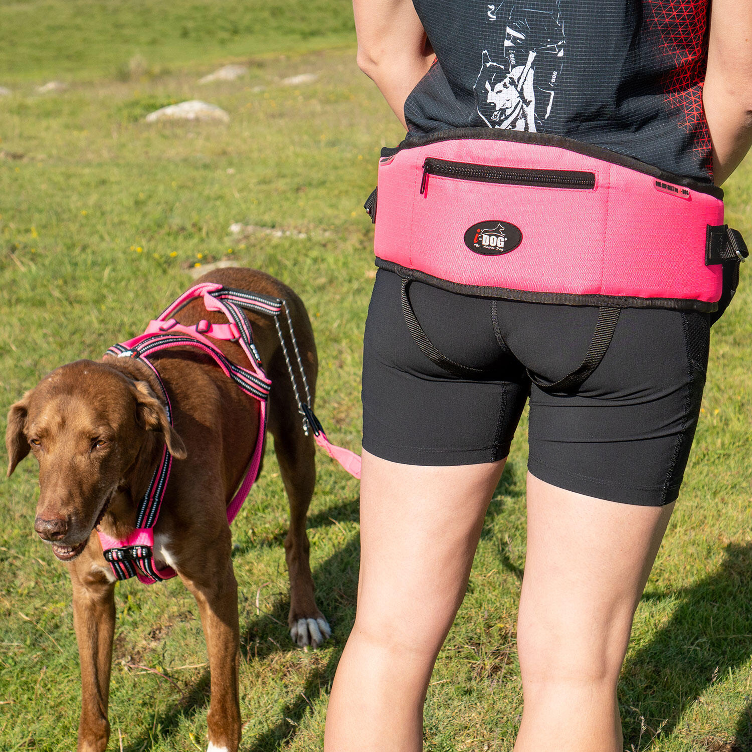 Baudrier ceinture ONE pour courir avec son chien, canicross, sport/loisir 5/5