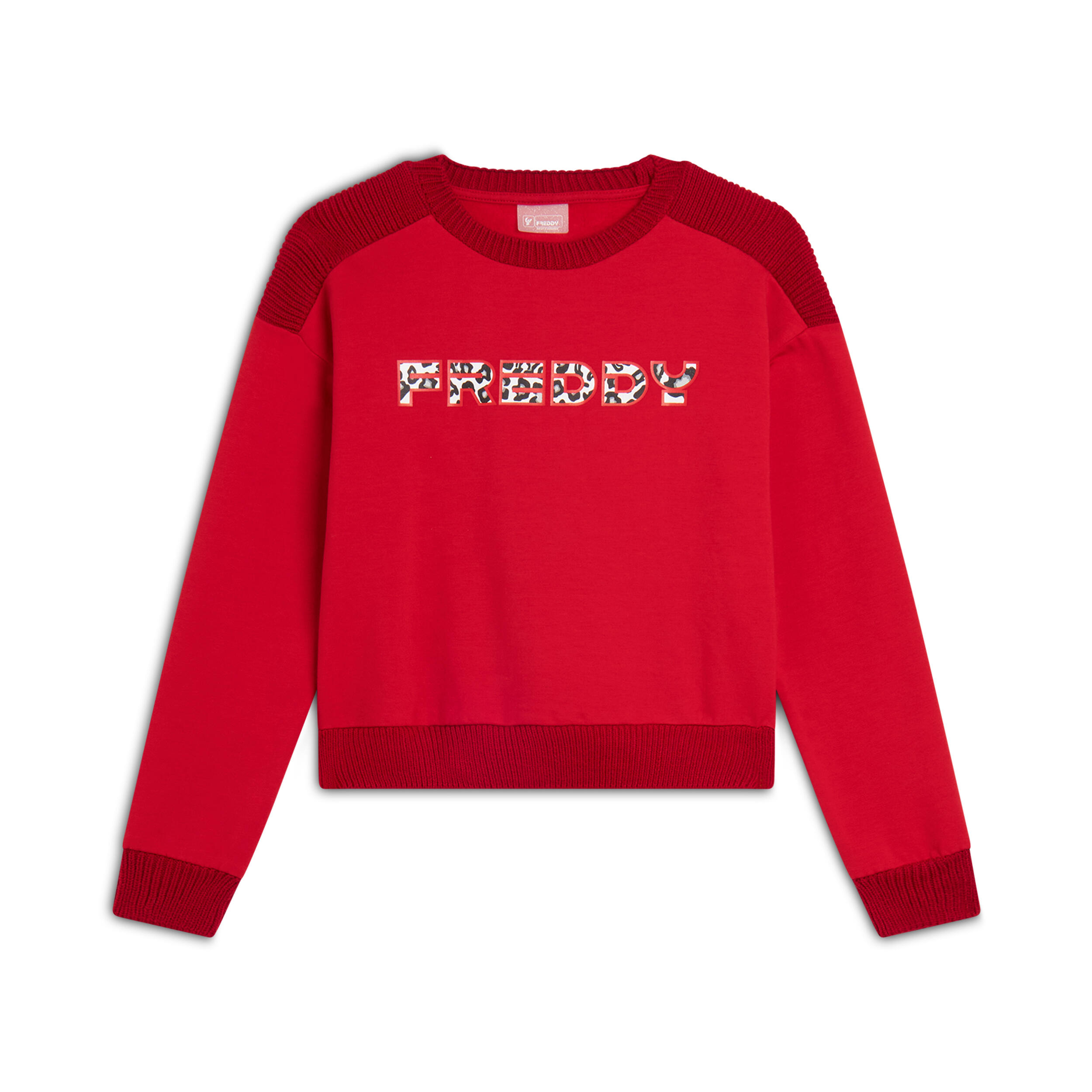 FREDDY picture