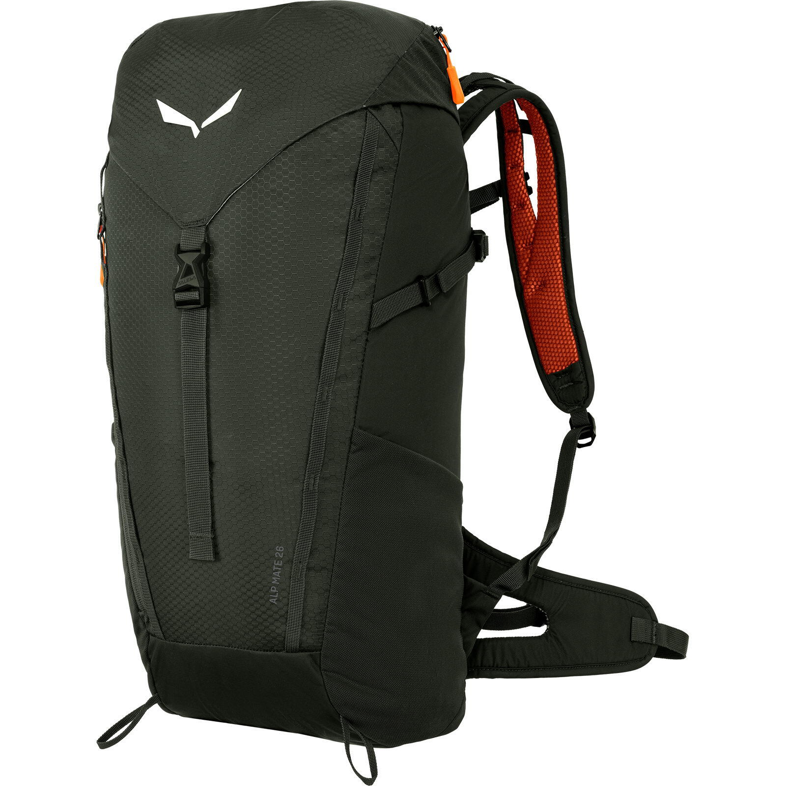 SALEWA picture