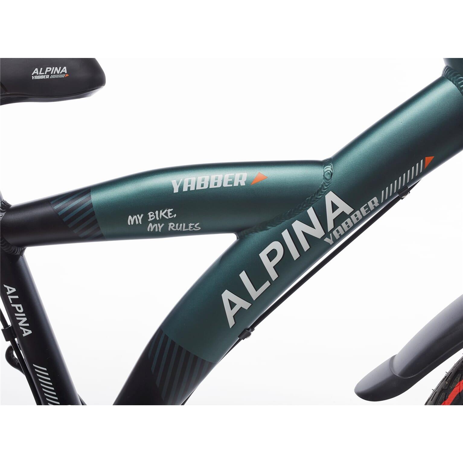 Alpina yabber j20 pine groen - vivid zwart 4/5
