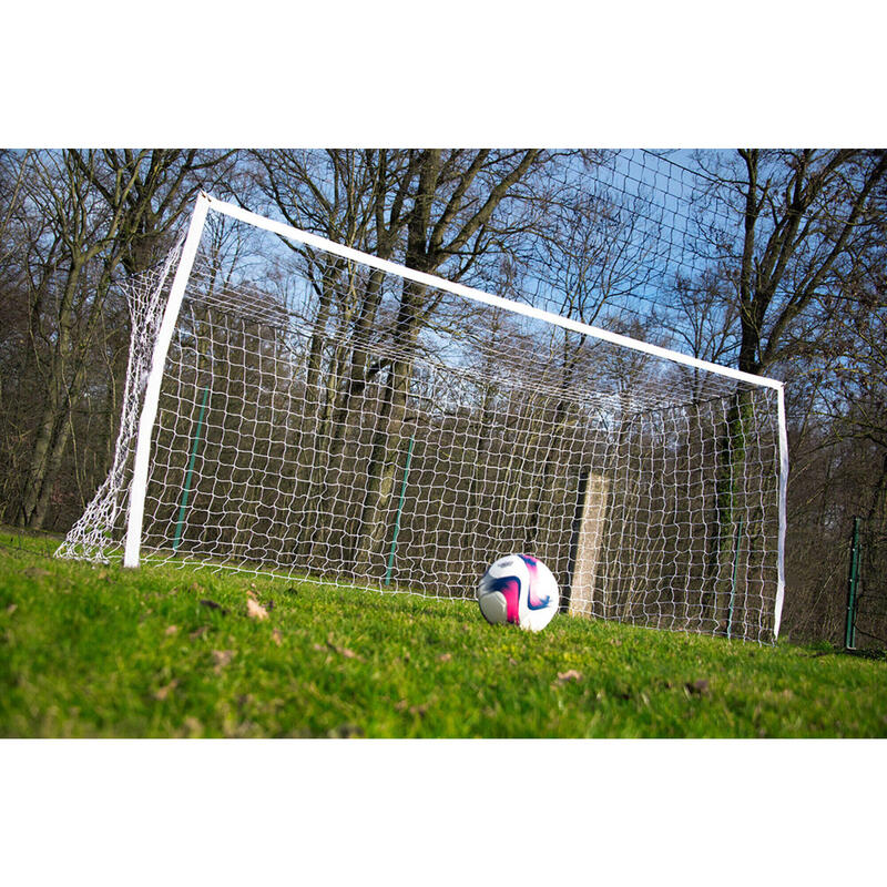 80797a05-362c-468f-9e33-a2f5386f300f_c4