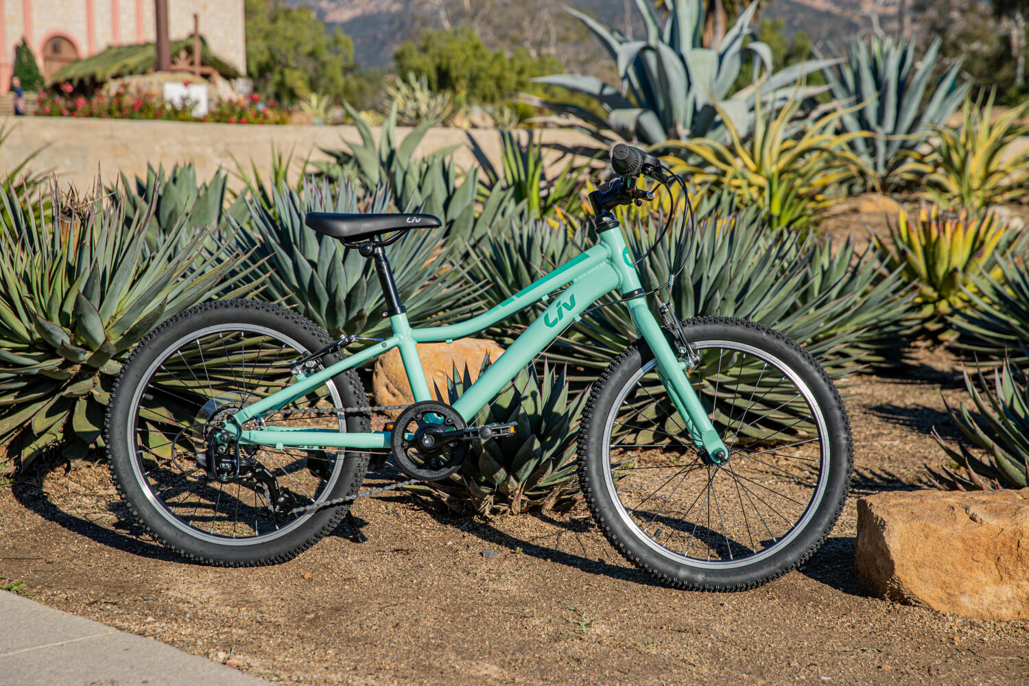 Liv enchant 20 inch bike hotsell