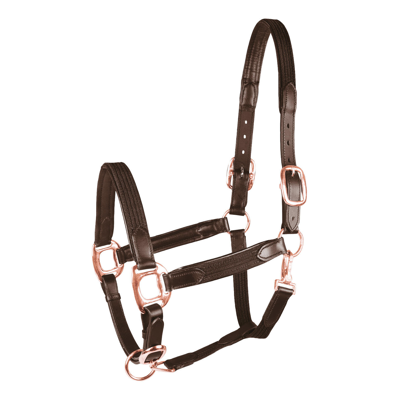Star - Licol Pour Poney Star Mix - Licol - Marron - Ps - Decathlon