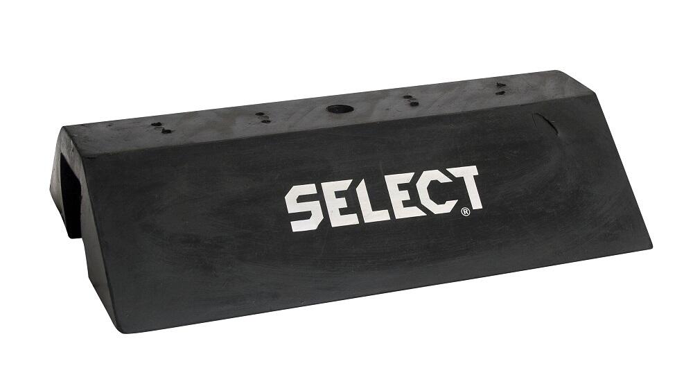 SELECT picture