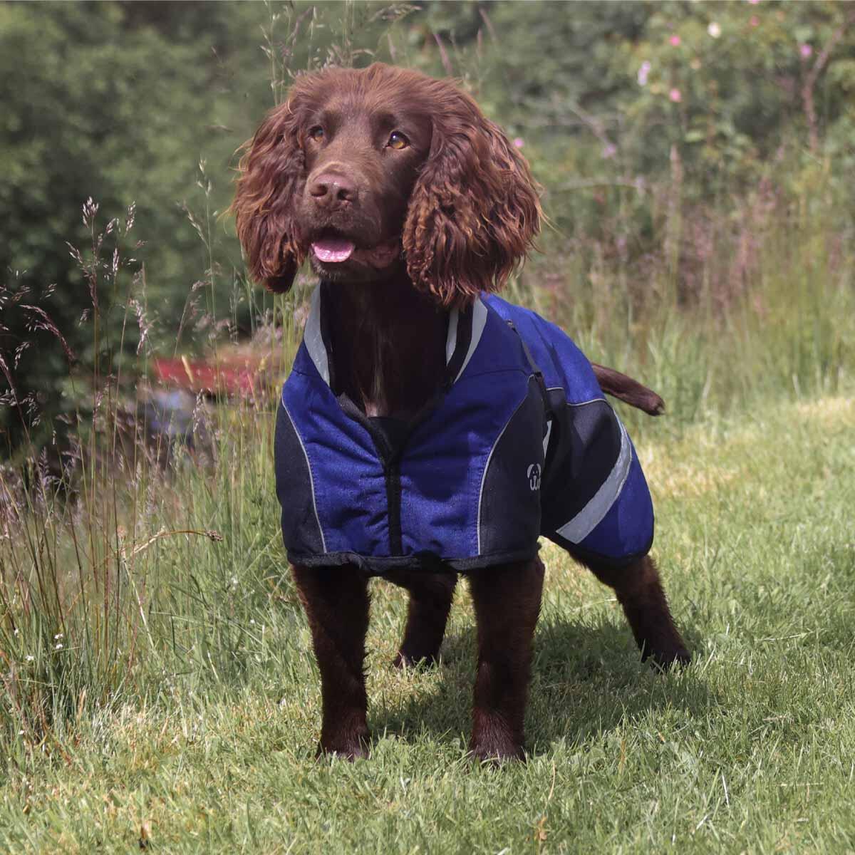 Woofmasta waterproof, breathable dog coat 4/7