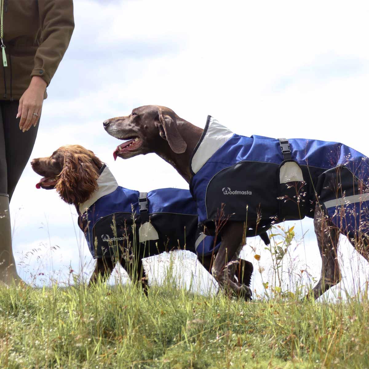 Woofmasta waterproof, breathable dog coat 5/7