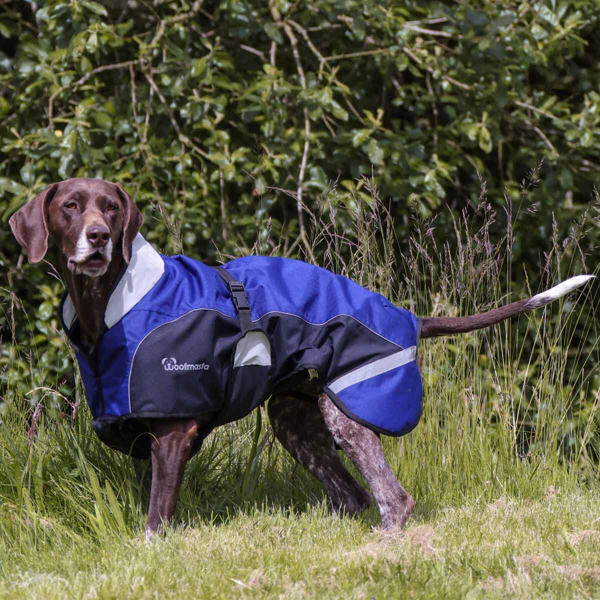 Woofmasta waterproof, breathable dog coat 1/7