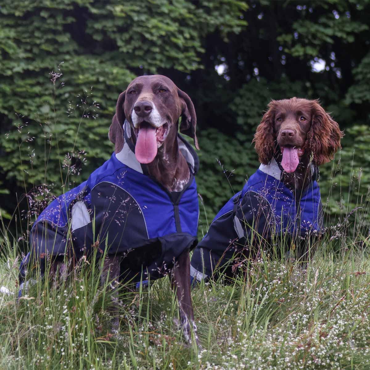 Woofmasta waterproof, breathable dog coat 3/7