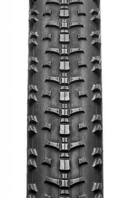 Neumático de bicicleta de montaña Hutchinson skeleton TS tubetype-tubeless ready