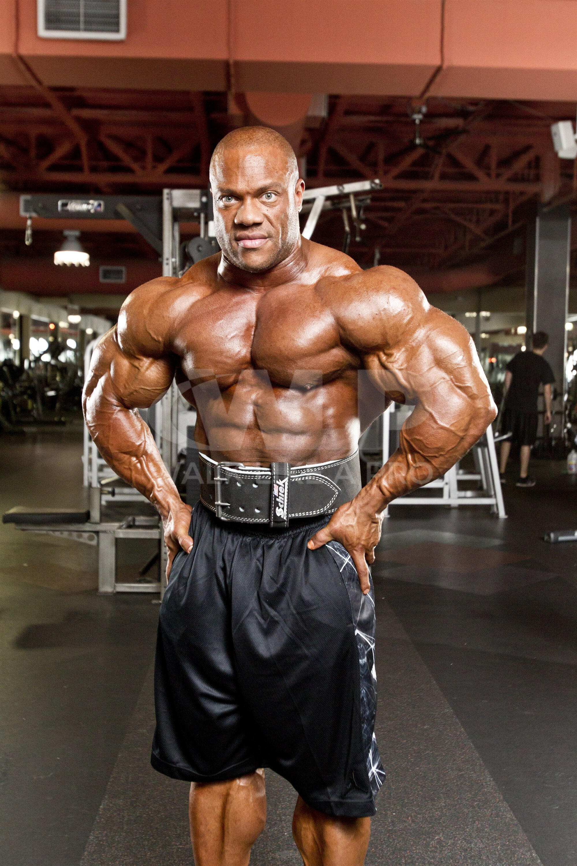 Phil Heath Gewichthebergürtel Model PHL6010 2/3