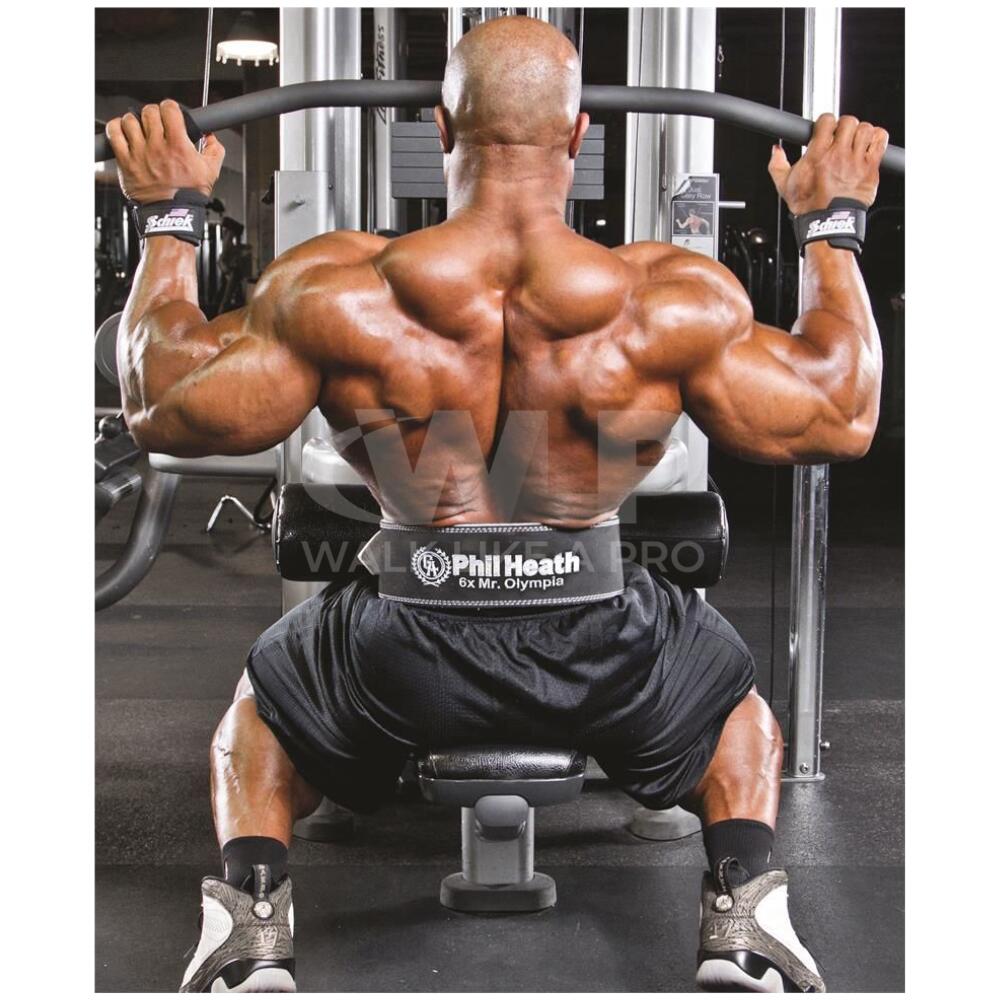 Phil Heath Gewichthebergürtel Model PHL6010 3/3