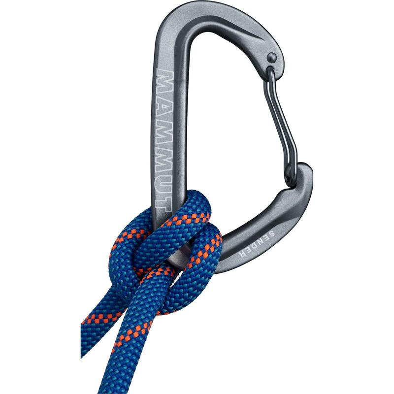 Set 6 carabiniere Sender Wire Gate MAMMUT