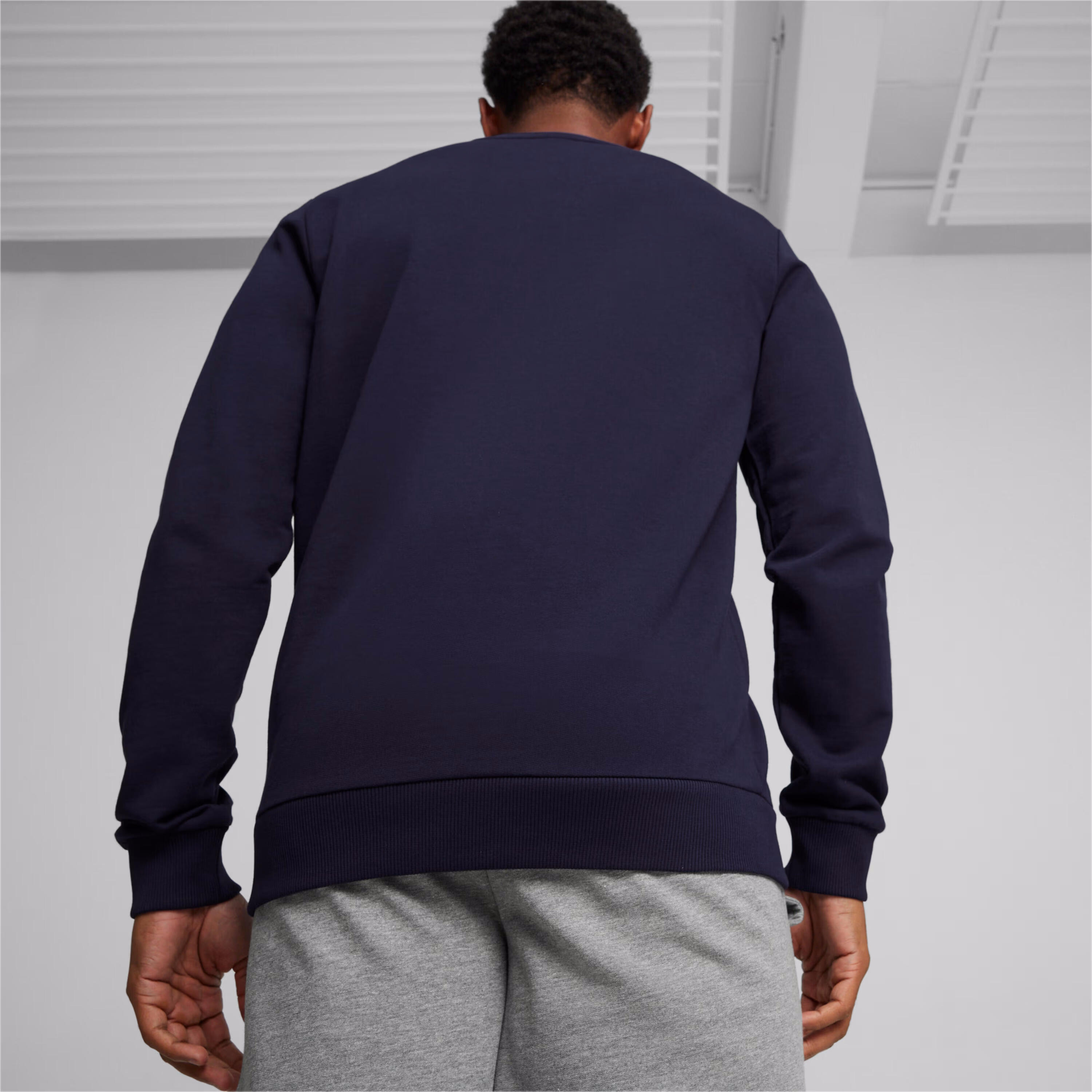 Felpa Puma teamGoal Casuals 5/7