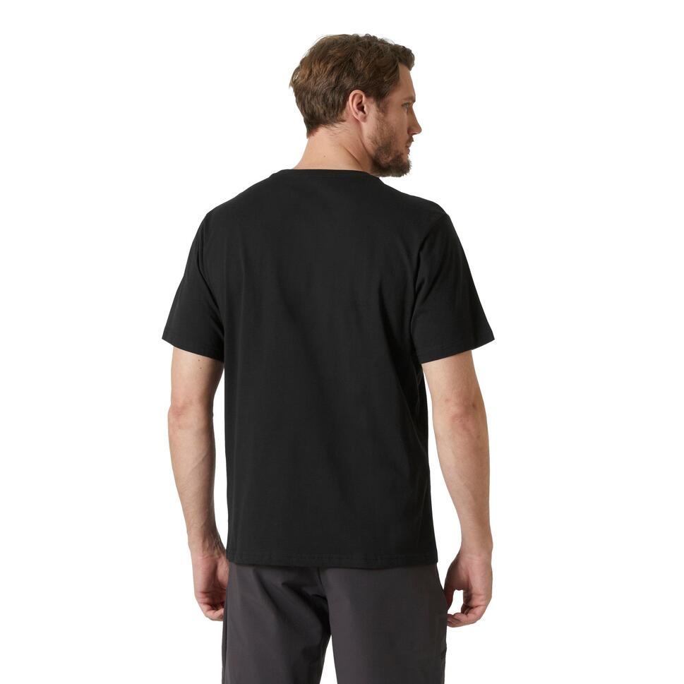 Koszulka bawełniana męska Helly Hansen HH Logo T-Shirt 2.0