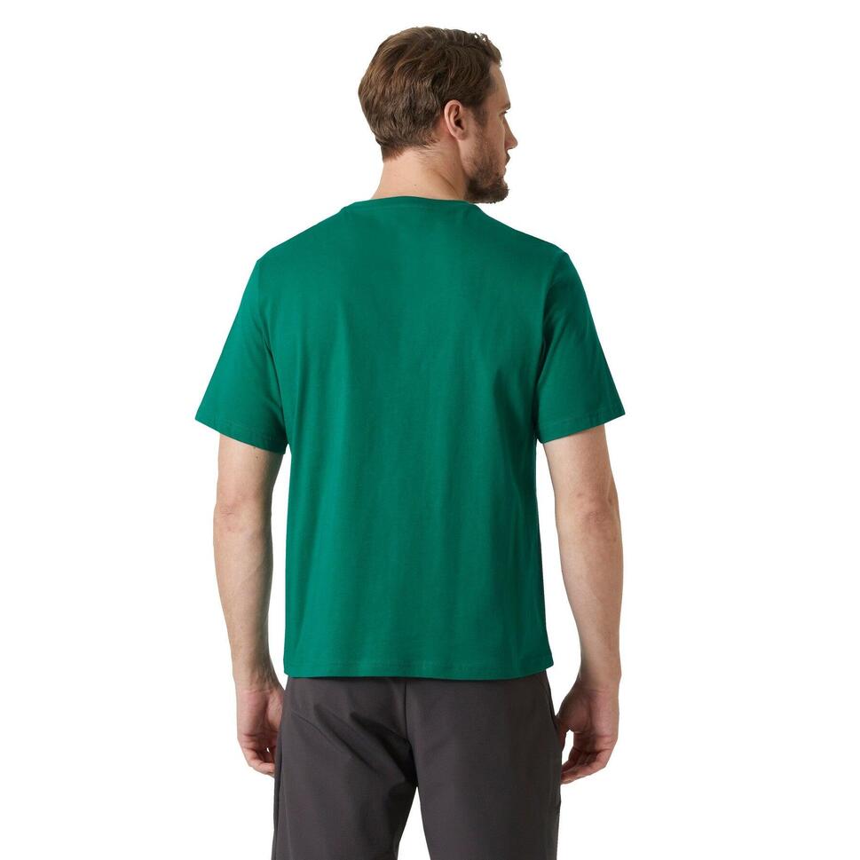Koszulka męska Helly Hansen Logo 2.0