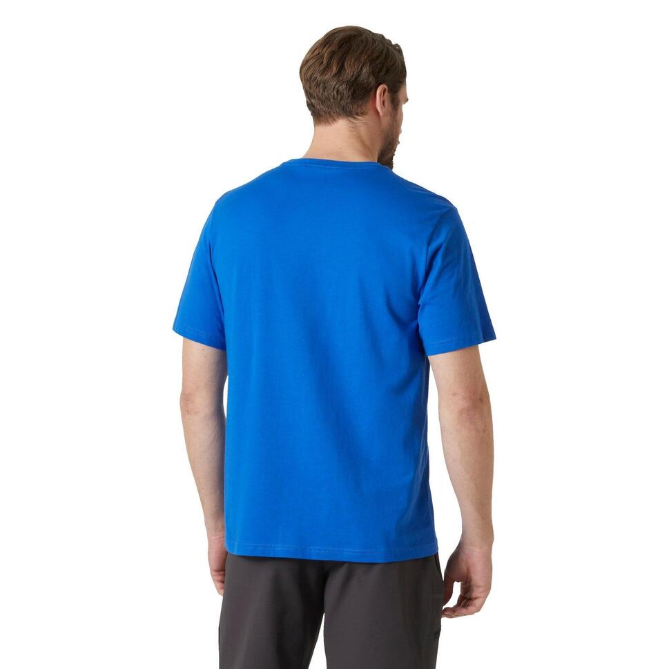 Koszulka męska Helly Hansen Logo 2.0