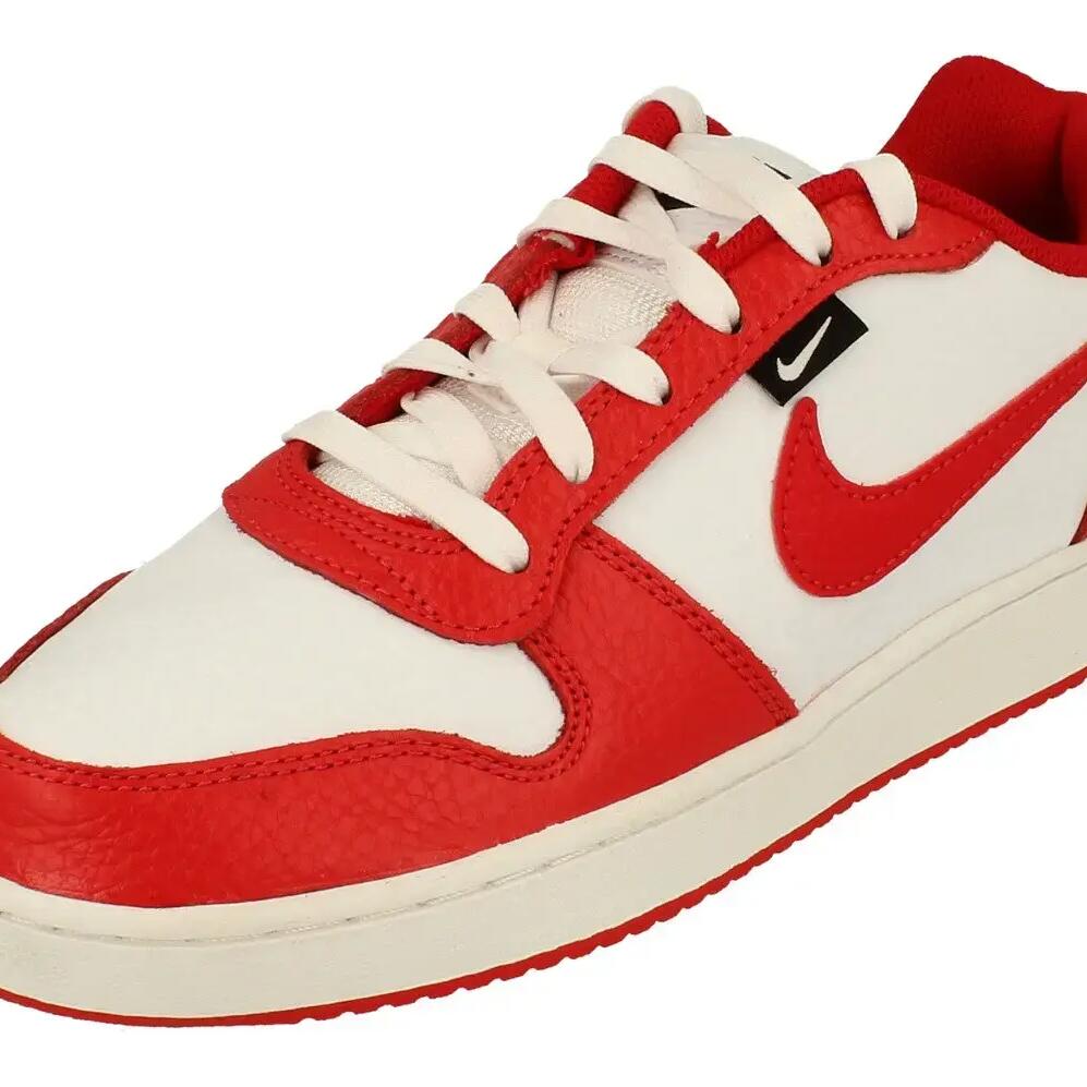 Nike Ebernon Low Prem Mens Trainers Aq1774  101