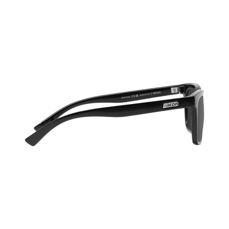 Lunettes de soleil Scicon Roygo black gloss