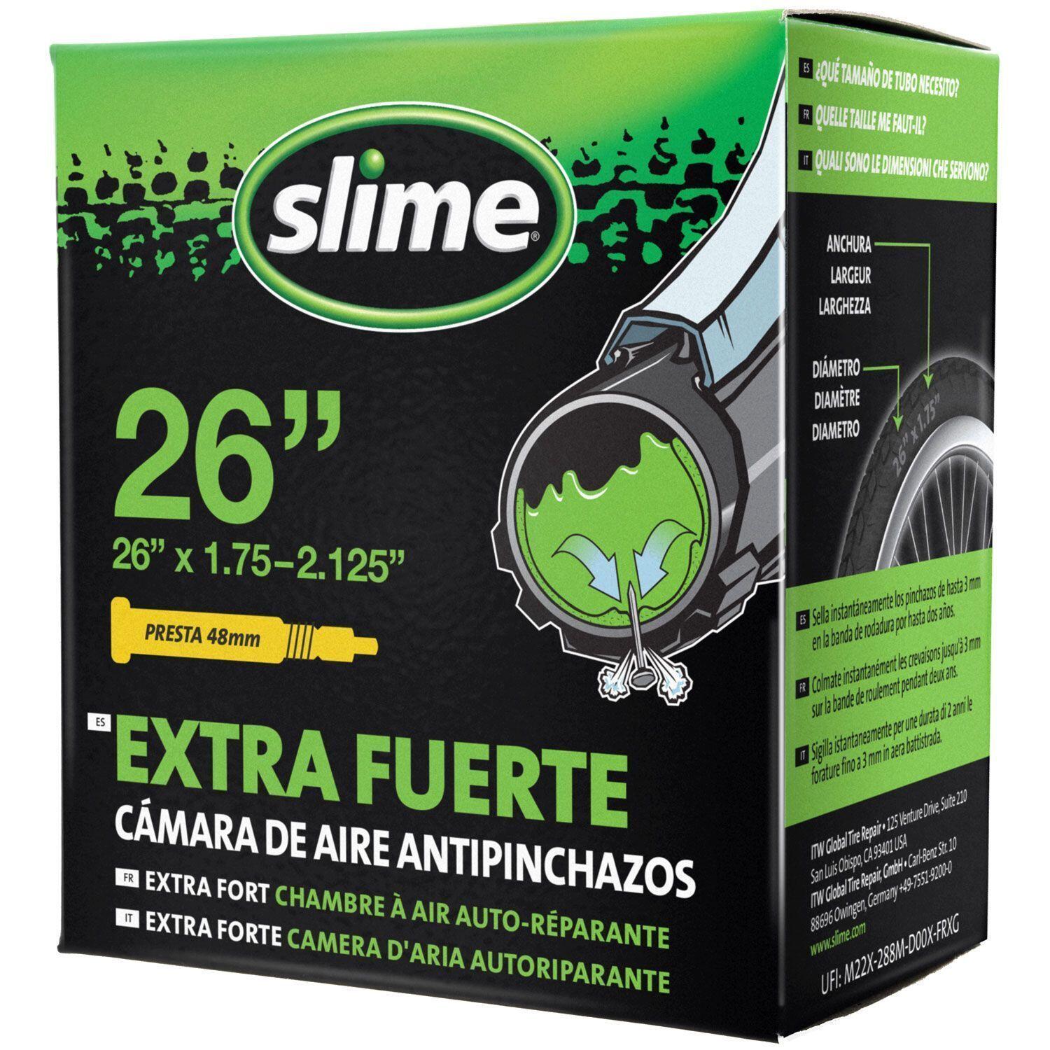 SLIME picture