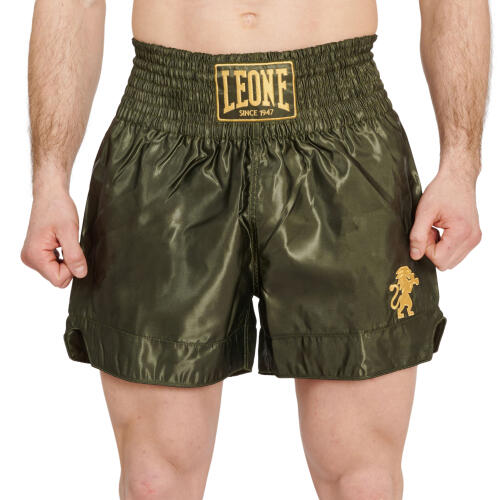 Short Kickboxing Leone Basic 2 Verde