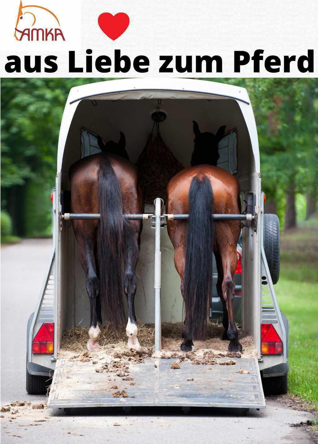 AMKA Schweifschoner Protection 4/4