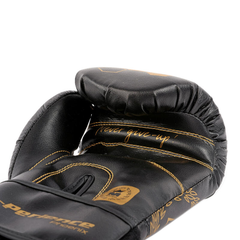 Gants de boxe Montana X-Perience Phoenix