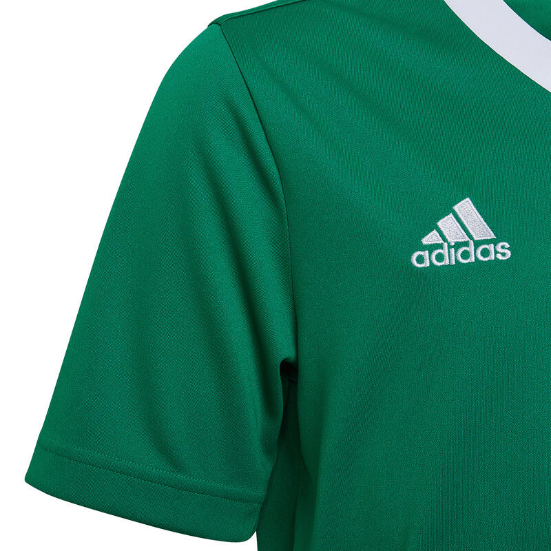 Tricou Fitness ADIDAS Entrada Galben Copii