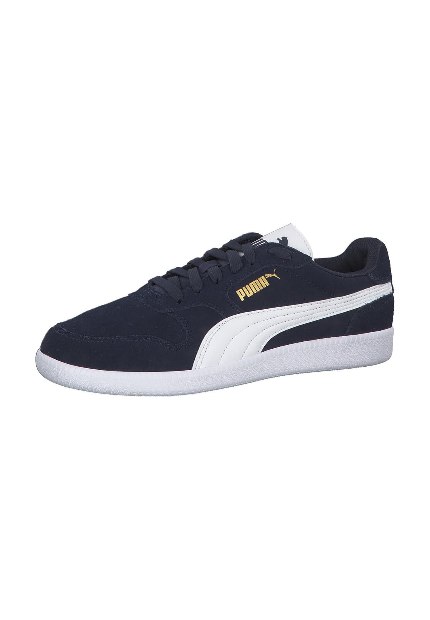 PUMA picture