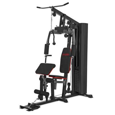 Fassi Power 250